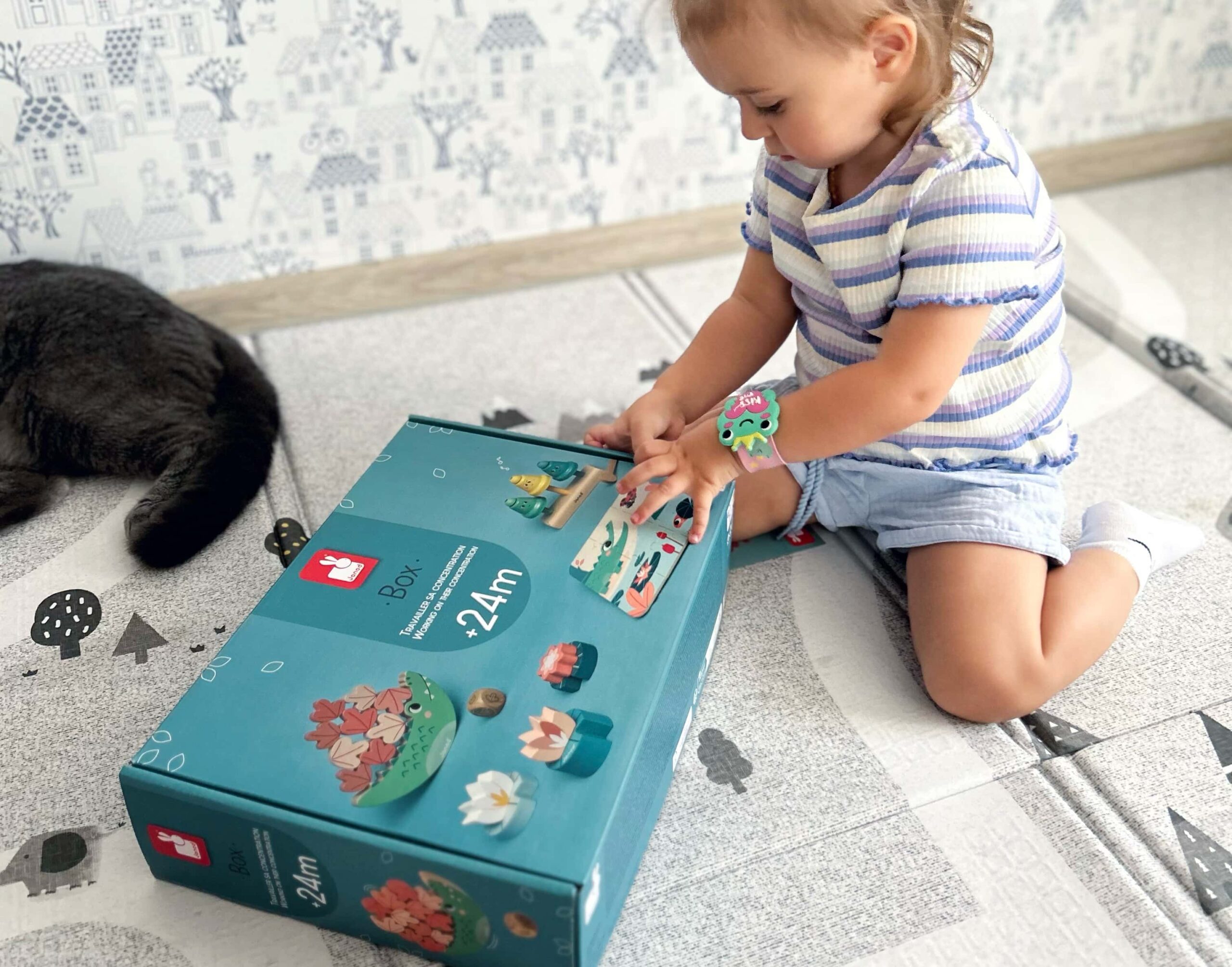 Janod box 24